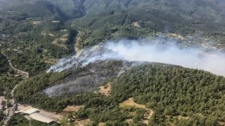 Bursa'nın Kestel ve Yıldırım ilçelerinde 3 farklı alanda çıkan orman yangınlarına havadan ve karadan müdahale ediliyor