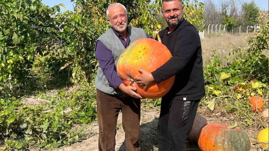 Büyüklüğü görenleri şaşırtıyor