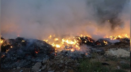 Çalılık alanda korkutan yangın