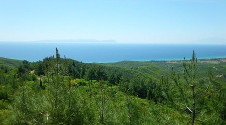 Çanakkale'de 8-9 milyon yaşında fil fosili bulundu