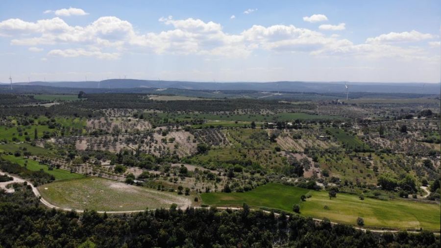 Çanakkale'de ormanlık alanlara girmek yasaklandı