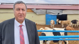 CHP Niğde Milletvekili Gürer, hayvancılık sektöründe artan ithalat ve yem maliyetlerine ilişkin değerlendirmelerde bulundu