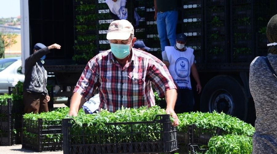 �ift�ilere 1 milyon 200 bin sebze fidesi da��t�ld�