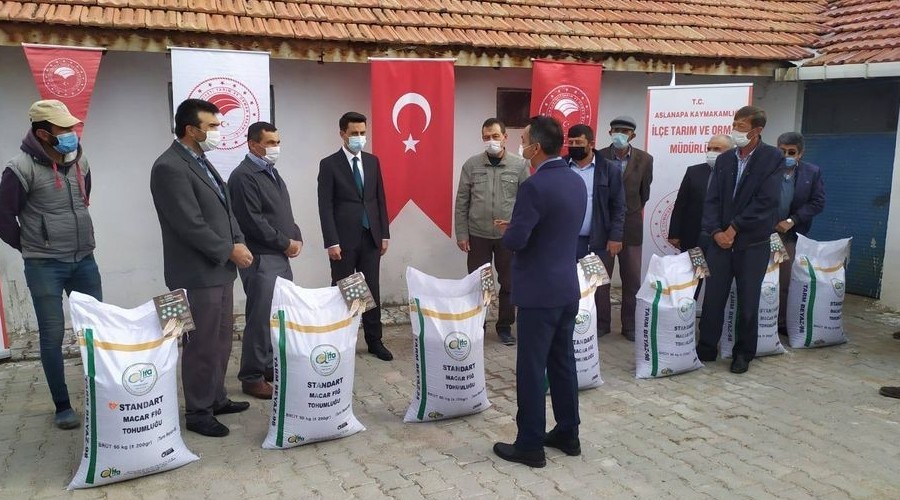 Çiftçilere ''macar fiği tohumu'' dağıtıldı