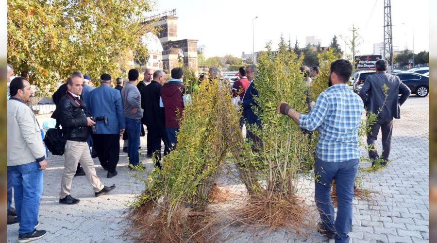 Çiftçilere nar fidanı dağıtıldı