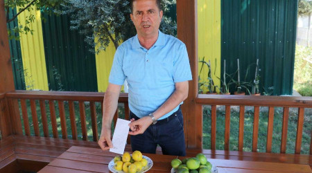 Çiftçinin çöpe attığı ıskarta limon marketlerde 6 lira