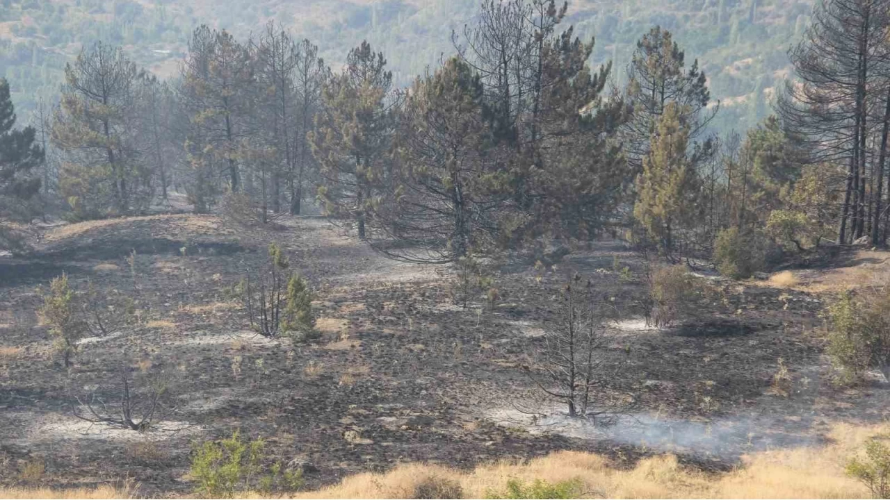 �orum'daki orman yang�n� kontrol alt�na al�nd�