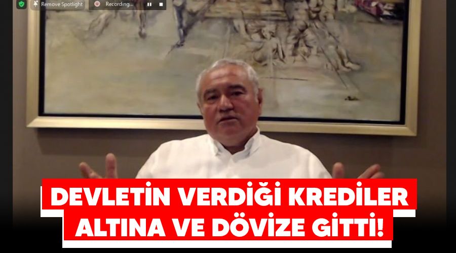 Devletin verdiği krediler altına ve dövize gitti!