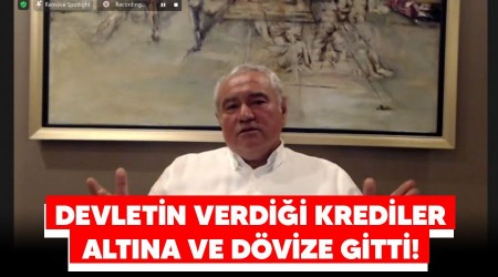 Devletin verdiği krediler altına ve dövize gitti!