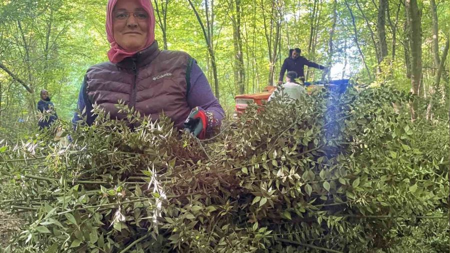 Dikenine katlanarak evlerine ekmek paras gtryorlar