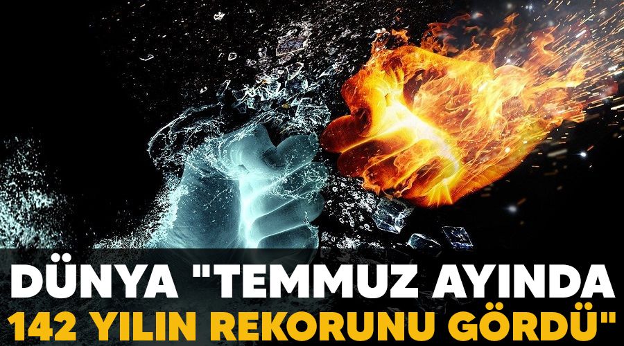 Dünya "Temmuz ayında 142 yılın rekorunu gördü"