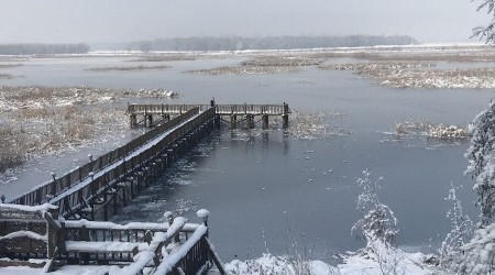 Düzce'de Efteni Gölü buz tuttu