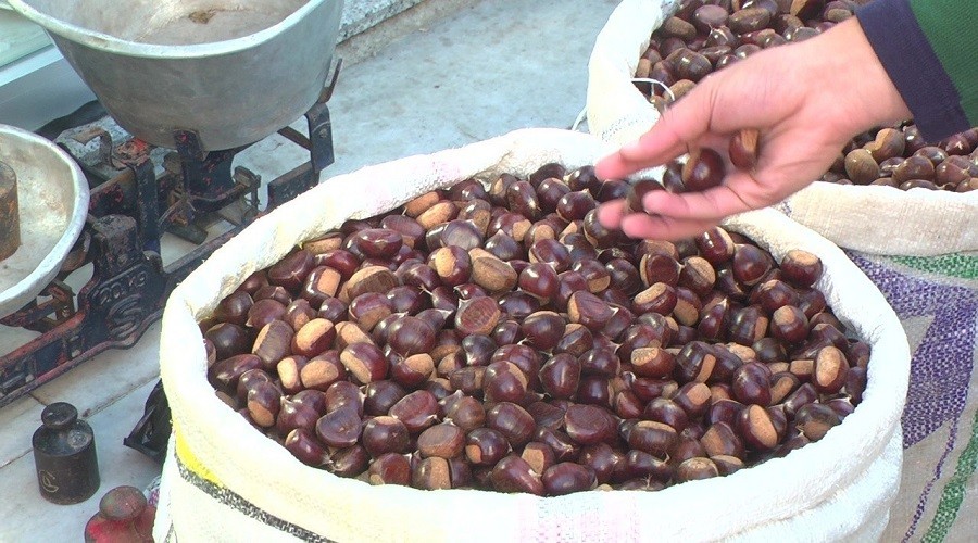 D�zce�de f�nd�ktan sonra en �ok kestane �retildi 