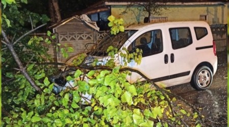 Düzce'de sağanak ve lodos etkili oldu