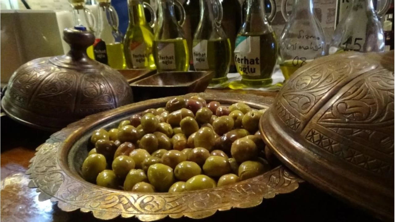 Edremit zeytinyağı için coğrafi işaret başvuruları başladı