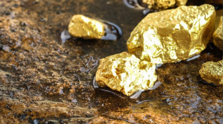 Erzincan'daki altın madenine çevreyi kirletme cezası