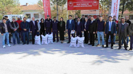 Eskiehir'de iftilere Macar fii tohumu datld
