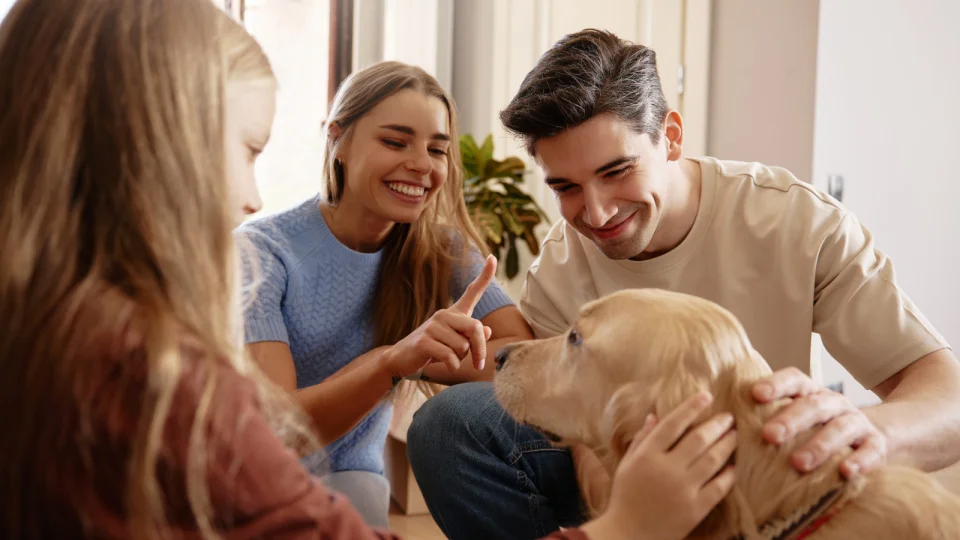 Evcil hayvan sigortası nedir ve neden önemlidir?