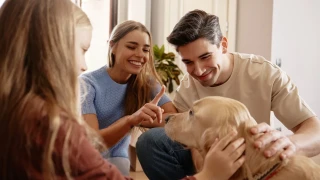 Evcil hayvan sigortası nedir ve neden önemlidir?