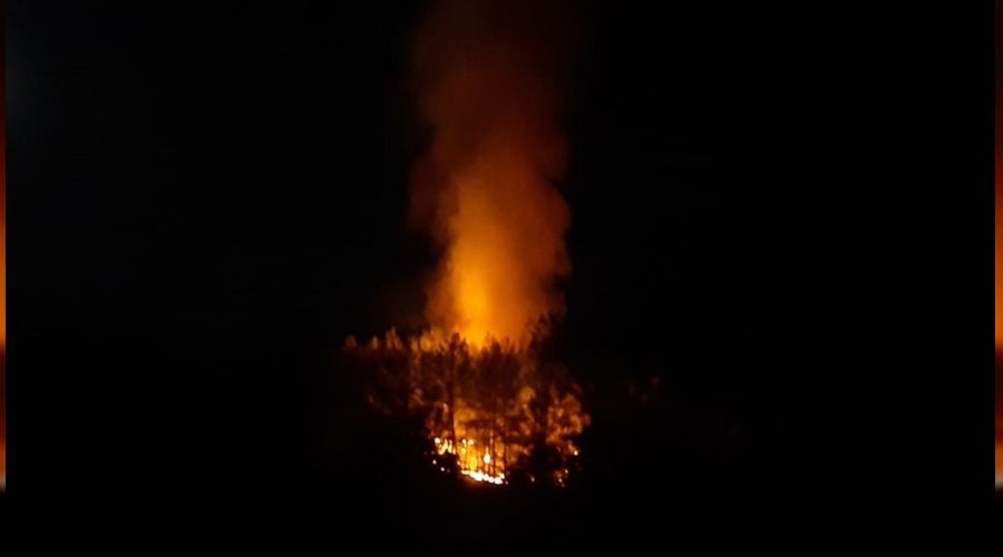 Fethiye'deki orman yangınına müdahale ediliyor