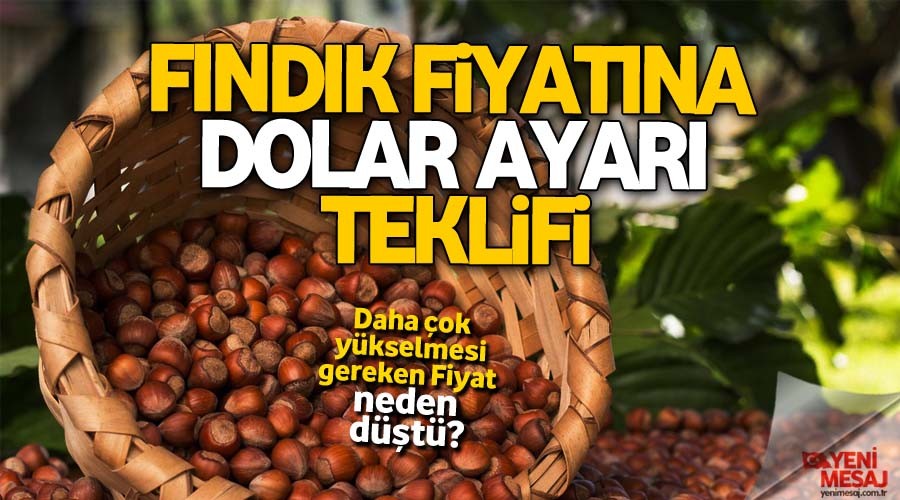 Fındığın fiyatı dolar cinsinden belirlenmeli