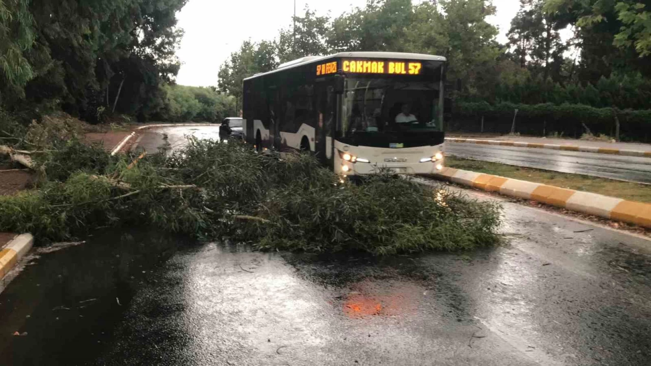Fırtınada ağaçları devirdi, yollar göle döndü