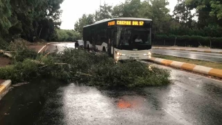 Fırtınada ağaçları devirdi, yollar göle döndü