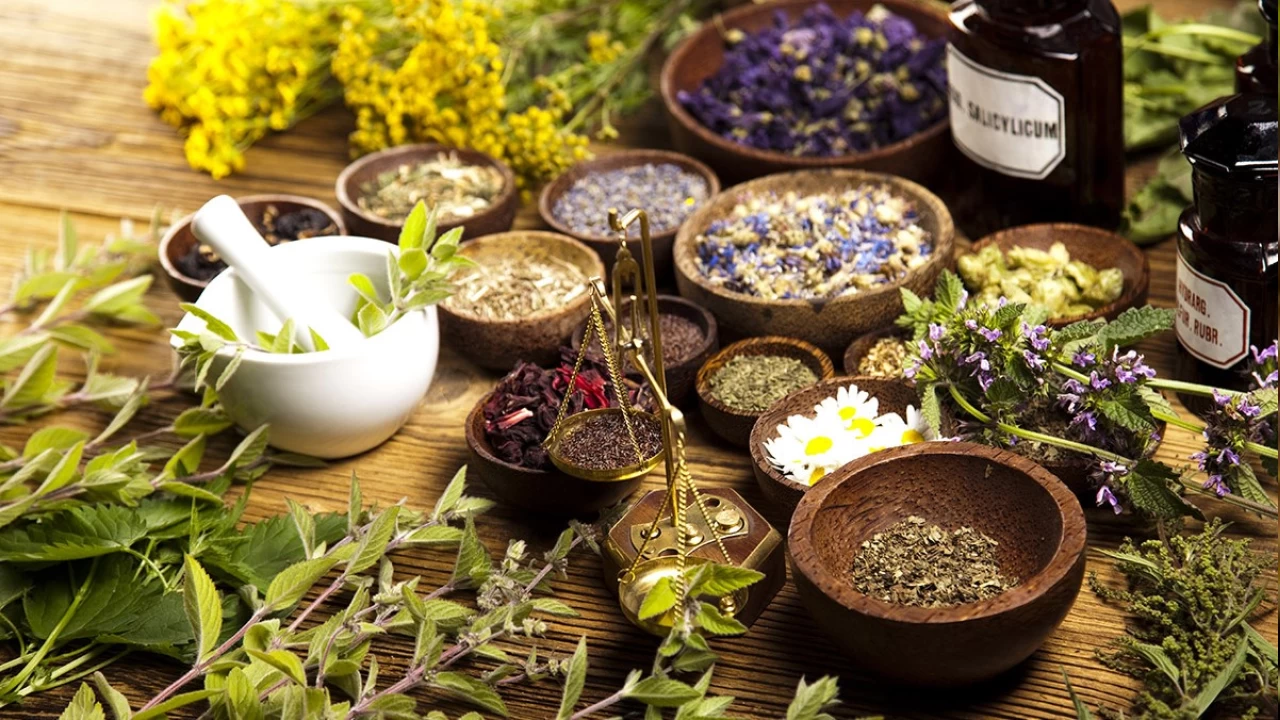 Fitoterapiye ilgi her ge�en g�n art�yor