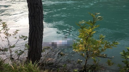 Fotoğraf tutkusu hayatına mal oldu