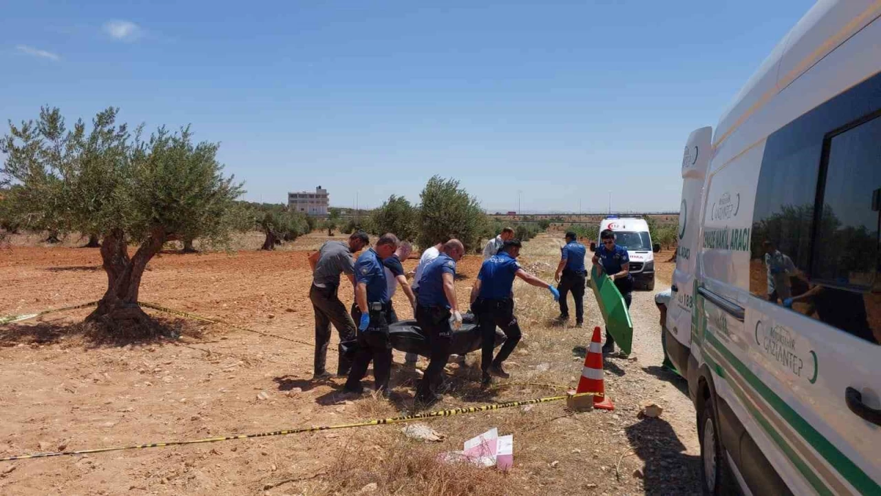 Gaziantep'te bir gen bulundu