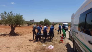 Gaziantep'te bir gen bulundu