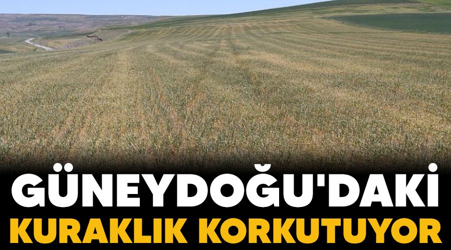Güneydoğu'daki kuraklık korkutuyor