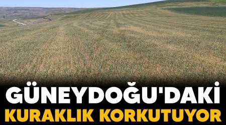 Gneydou'daki kuraklk korkutuyor