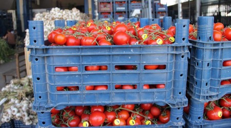 Halde fiyat dipte markette zirvede
