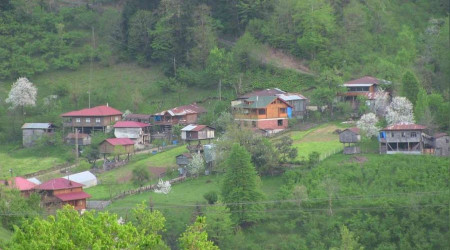 Hayat pahall kye dndryor