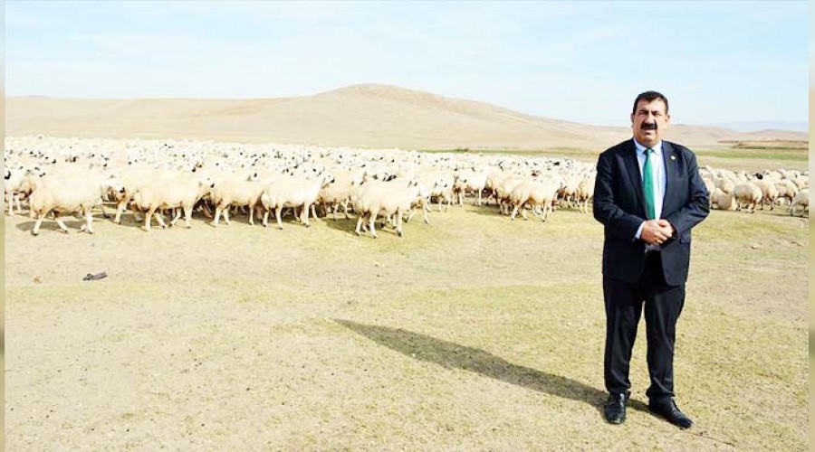 Hayvancılıkta küçük işletmeler desteklenmeli