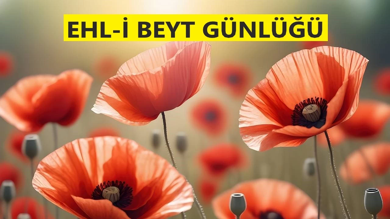 Hz. Ali bütün sıkıntılara, baskılara tanık oldu