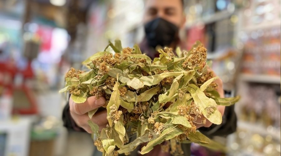 Ihlamurun fiyat� el yak�yor