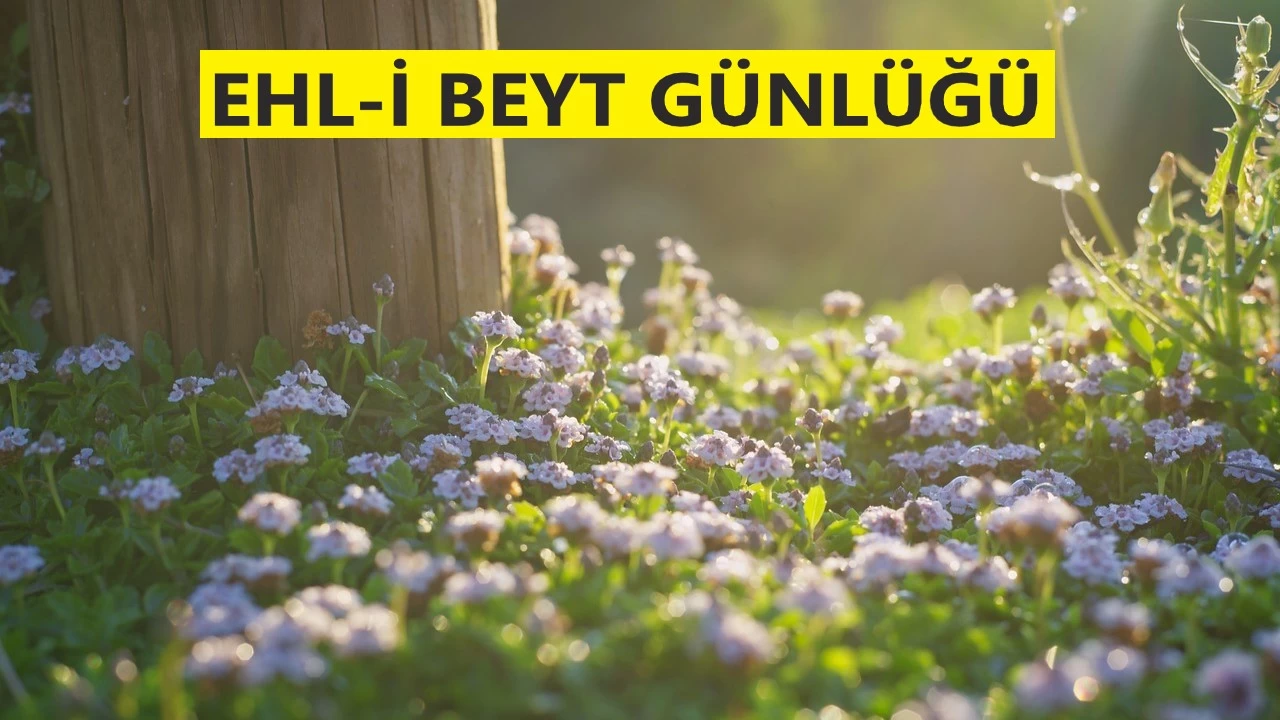 ‘İnsan, akıl ile olgunlaşır’