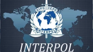 Interpol'ün kırmızı bültenle aradığı 56 kişi 'Kafes 28 Operasyonu" ile yakalandı