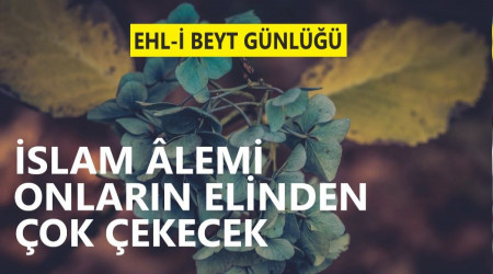 ‘İslam âlemi onların elinden çok çekecek’