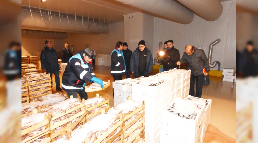 İstanbul’da 5 ton balığa el konuldu