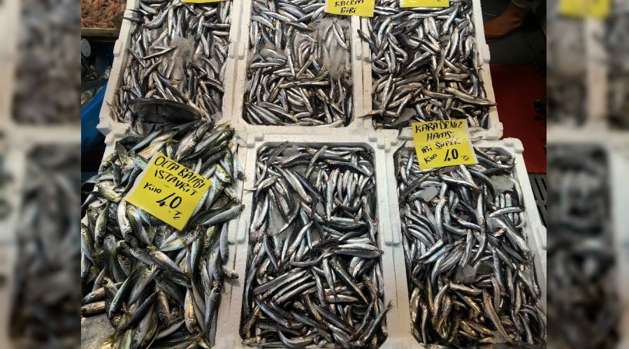 �stanbul'da hamsi cep yak�yor