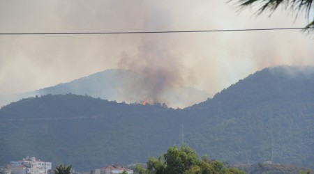 zmir'de orman yakan bir kii gzaltnda