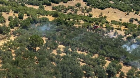 İzmir'de yangın kısa sürede söndürüldü