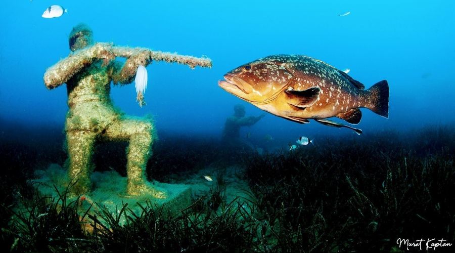 �zmirli su alt� foto�raf��s� d�nya birincisi oldu