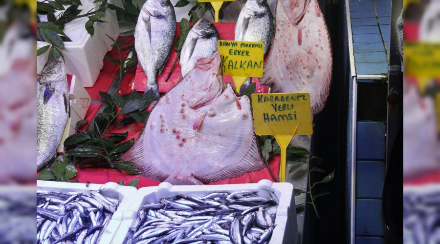 Kalkan�n fiyat� dudak u�uklat�yor 