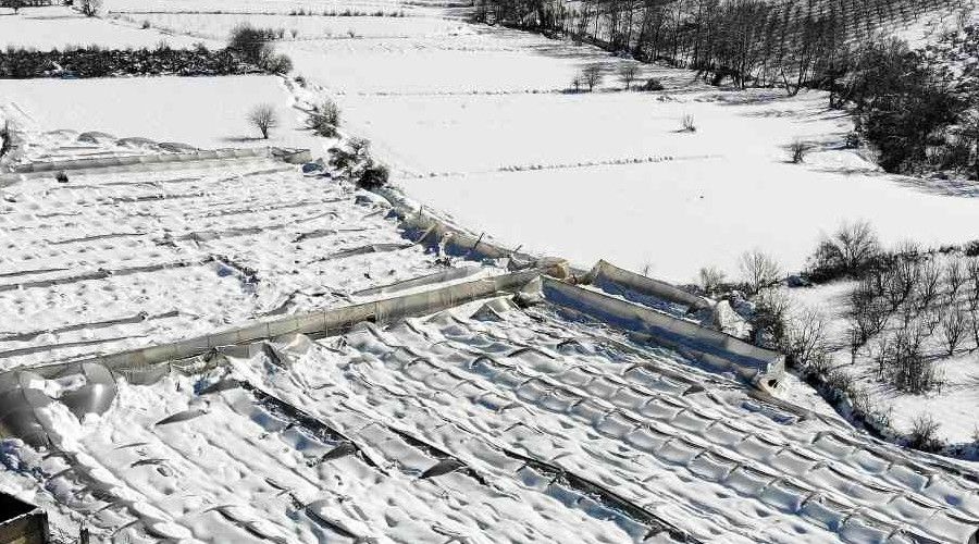 Kar, g�l seras�n� yerle bir etti, 2,5 milyon zarar meydana geldi