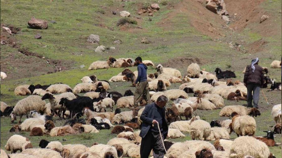 Kar ve tipi nedeniyle mahsur kalan göçerler kurtarıldı