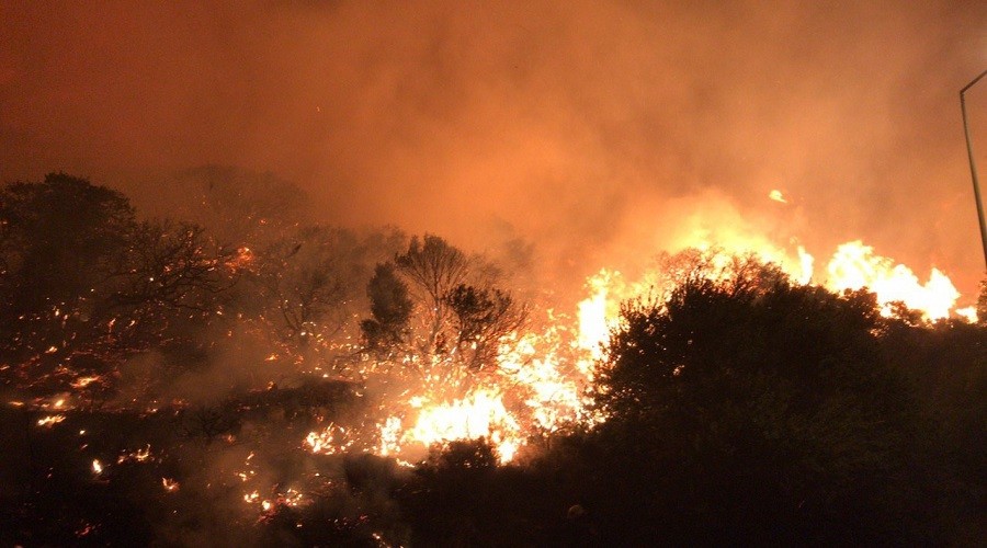 Kaş ilçesinde orman yangını
